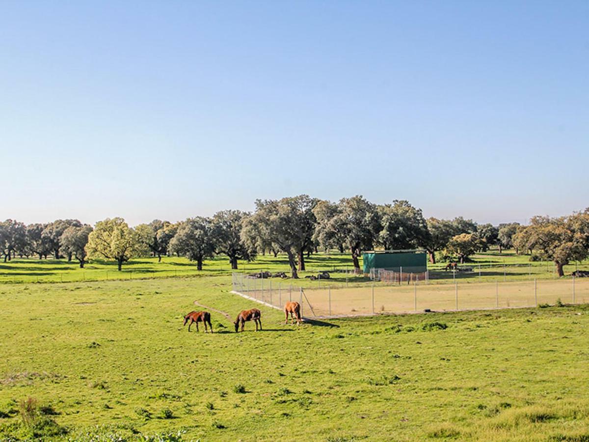 El Toril Glamping Experience Villa Parrillas Kültér fotó