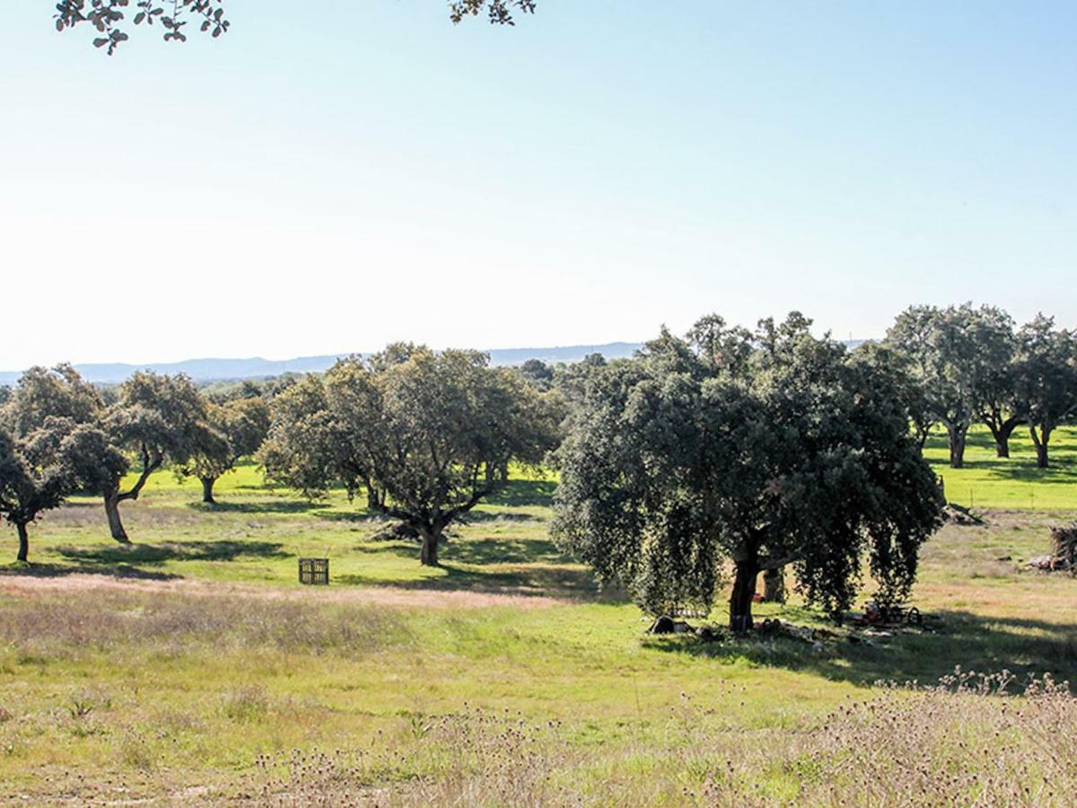 El Toril Glamping Experience Villa Parrillas Kültér fotó